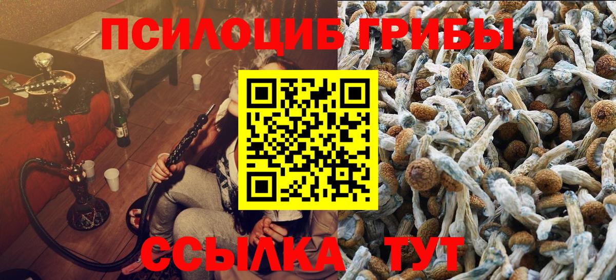 где продают   Галлюциногенные грибы мухоморы  Вход с VPN  Псилоцибиновые грибы ЛСД  Волжск 